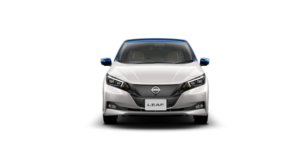 Nissan Leaf Reef e+G